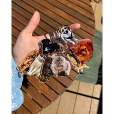 Брелок с домашним питомцем