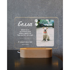 Постер-мемориальная табличка с вашим любимцем (с подсветкой)