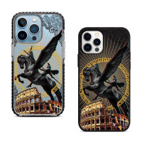 Чехол для iPhone 13 Пегас Колизей